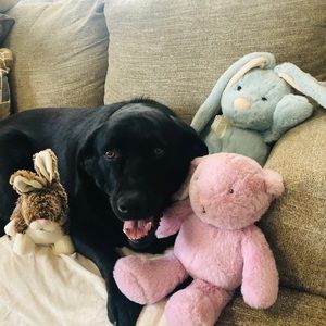 Meet your Posher, Katharine